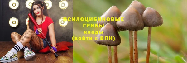 прущий лед Абинск