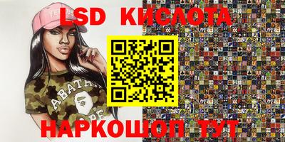 шишки Моздок