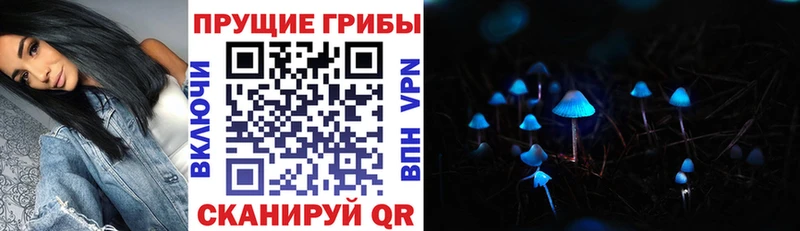 OMG ссылка  Знаменск  Псилоцибиновые грибы прущие грибы 
